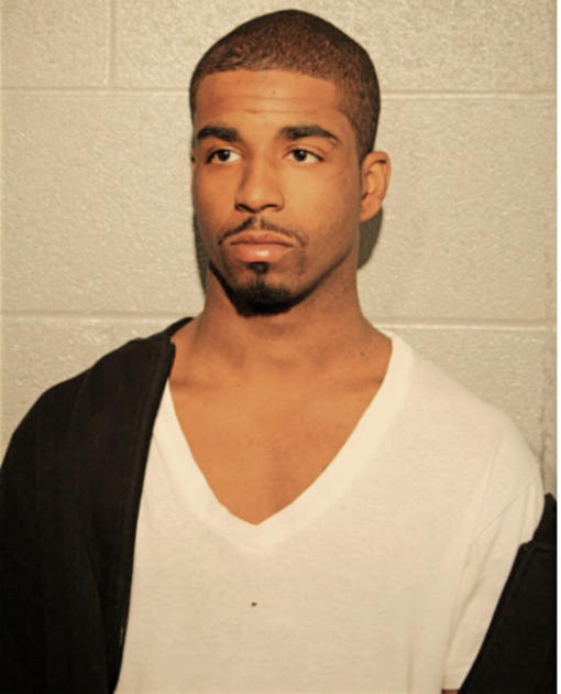 DAVID L DAVIS, Cook County, Illinois