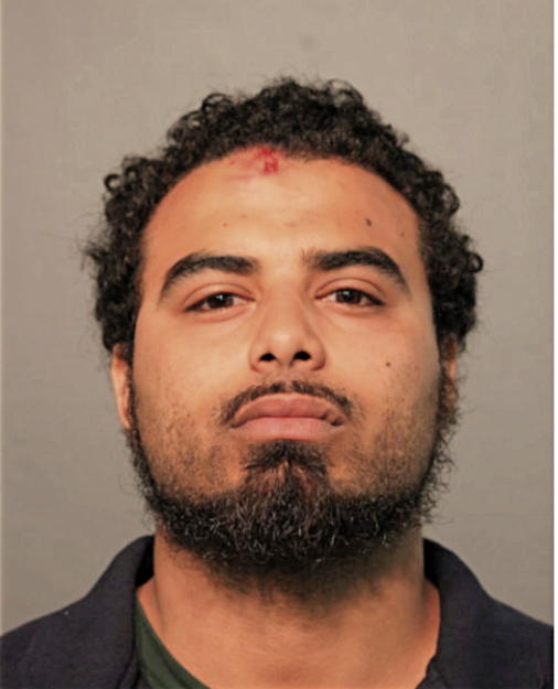 ANDRES E DEJESUS, Cook County, Illinois