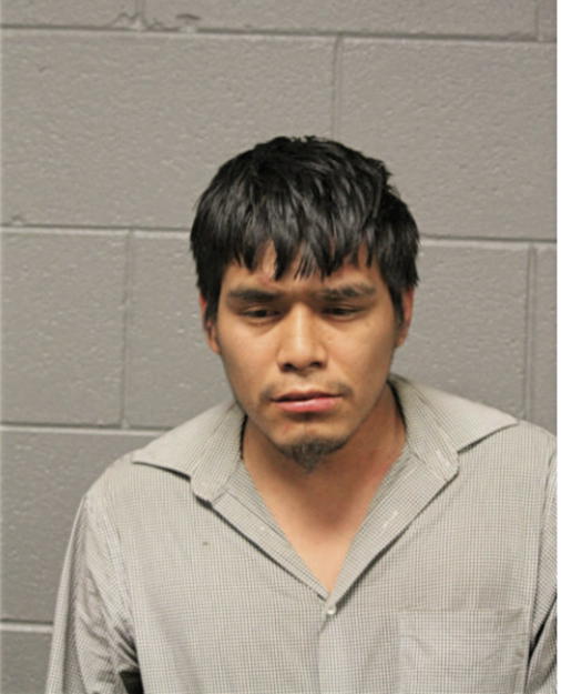 JORGE DOMINGUEZ, Cook County, Illinois