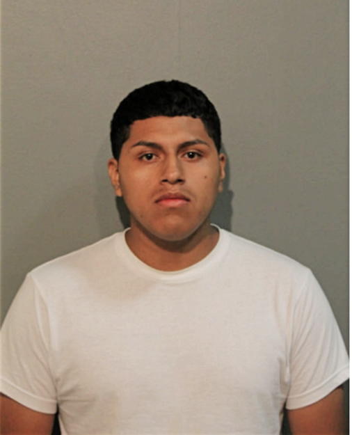CARLOS H FAREZ, Cook County, Illinois
