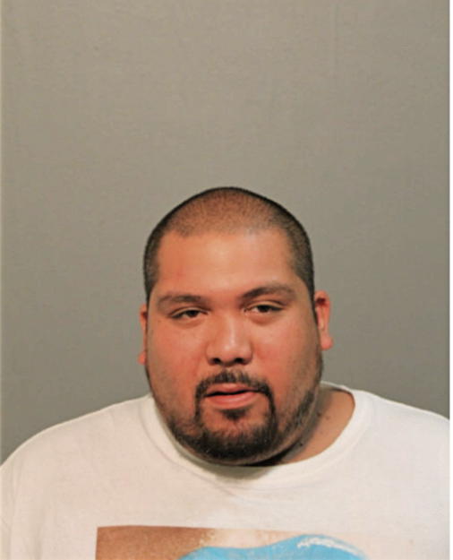 RONALD E GARCIA, Cook County, Illinois