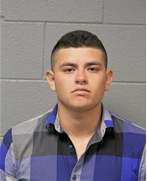 DAVID HERNANDEZ, Cook County, Illinois