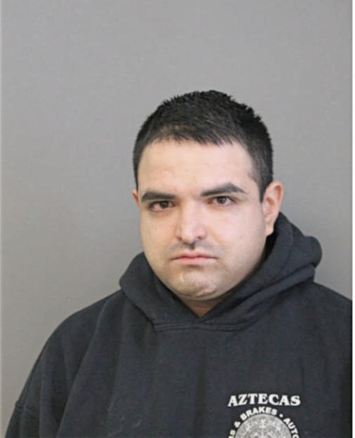 LOUIS A HERRERA, Cook County, Illinois