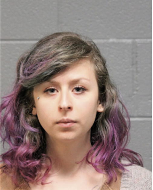 ALLYSON C HIRSCH, Cook County, Illinois