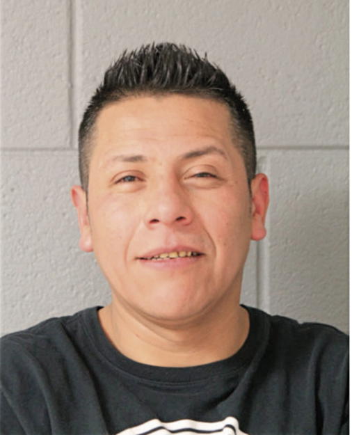 JUAN CARLOS MATA, Cook County, Illinois