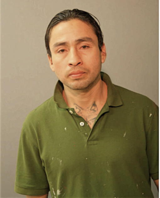 ALEXANDER J MAZARIEGOS, Cook County, Illinois