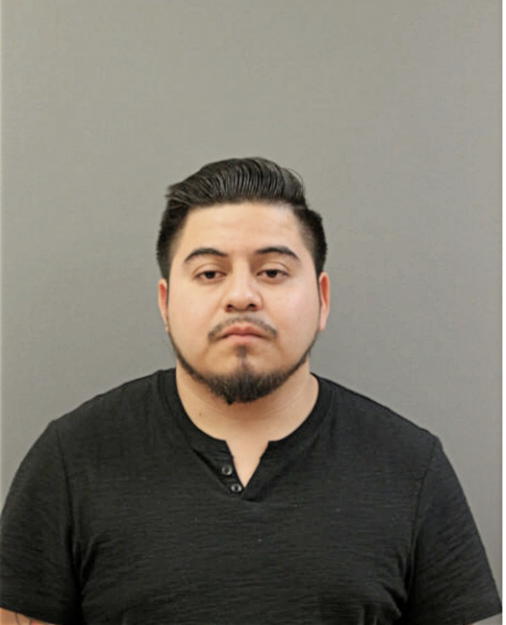 RAYMUNDO MEDINA, Cook County, Illinois