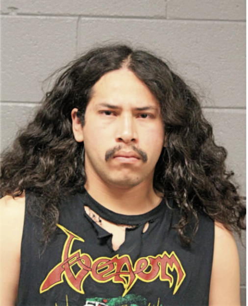 RODRIGO A NAVARRO, Cook County, Illinois