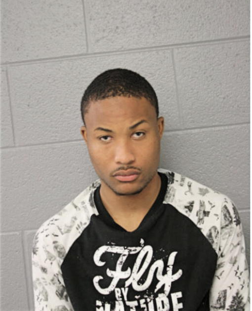 DAVID E PURCELL, Cook County, Illinois