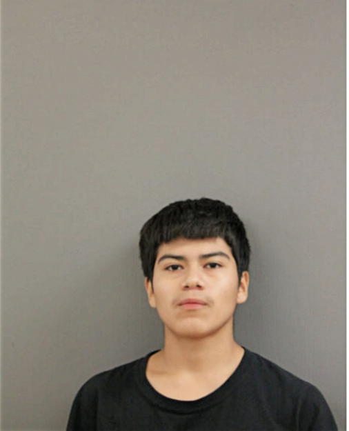 LUIS FELIX RABADAN, Cook County, Illinois