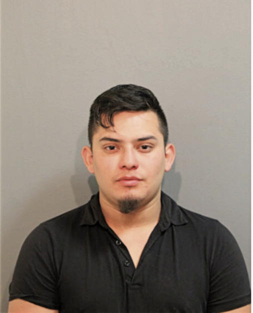YANDER F REYES, Cook County, Illinois