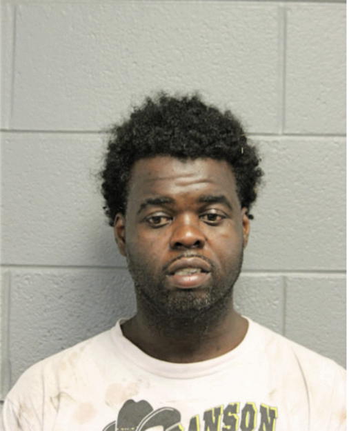 ROBERT D RICE, Cook County, Illinois