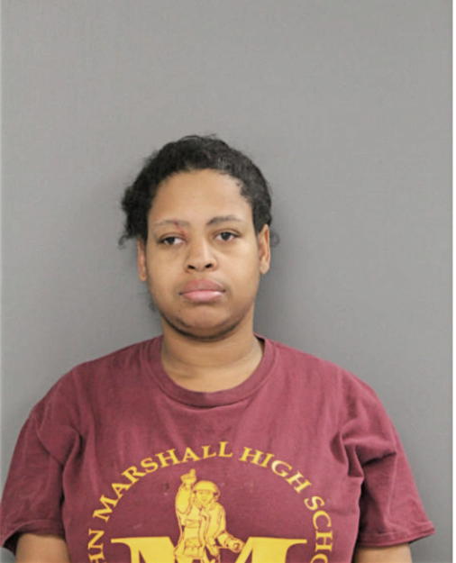 TAMIKA L RICE, Cook County, Illinois