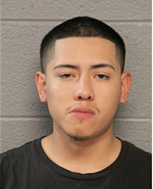 CARLOS A RIVERA, Cook County, Illinois