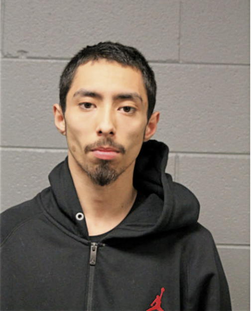 CHARLES F SENASE, Cook County, Illinois