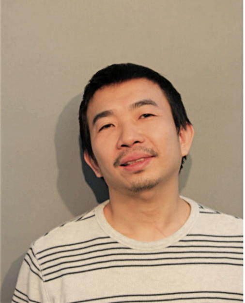 AHN TUAN N NGO, Cook County, Illinois