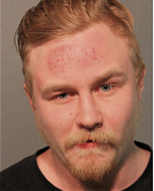 CHARLES E VANKOUGHNETT, Cook County, Illinois