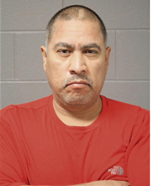 FRANCISCO J VIEIRA, Cook County, Illinois