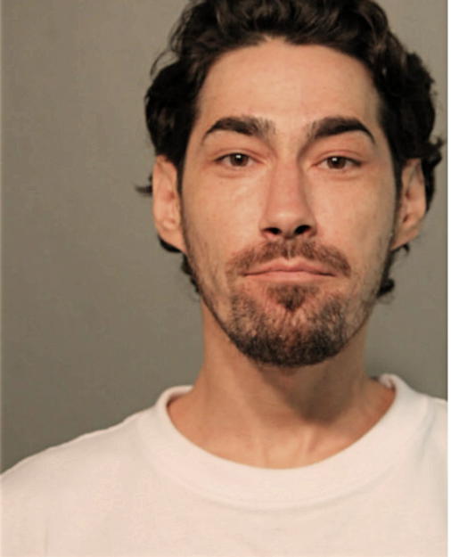 CHARLES R WALLACE, Cook County, Illinois