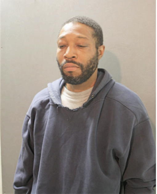 LYNDON L WILLIAMSON, Cook County, Illinois
