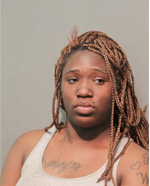 CRYSTAL S WISE, Cook County, Illinois