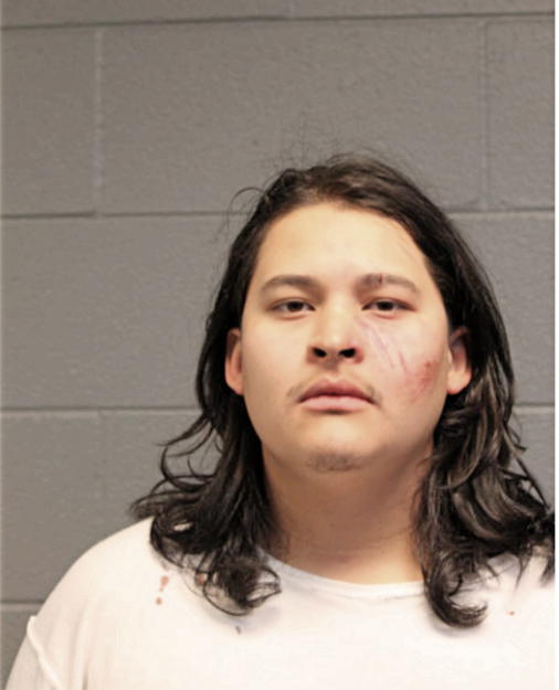 WUILIBALDO ZARAGOZA, Cook County, Illinois