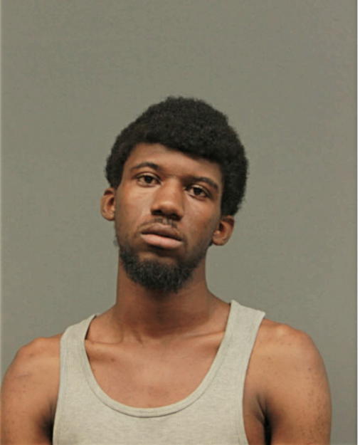 DARRYL D ALLEN, Cook County, Illinois