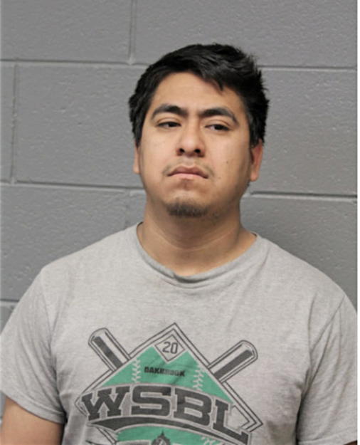 GAUDENCIO D ANDRES, Cook County, Illinois