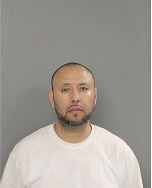FILEMON ARROYO-CEJA, Cook County, Illinois