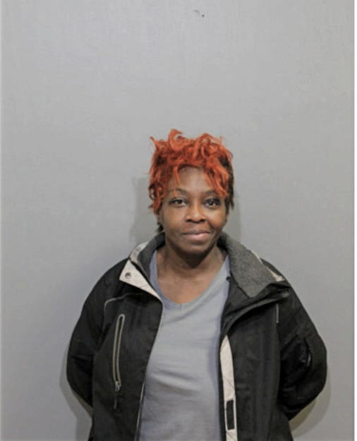 DANICA C BAINES, Cook County, Illinois