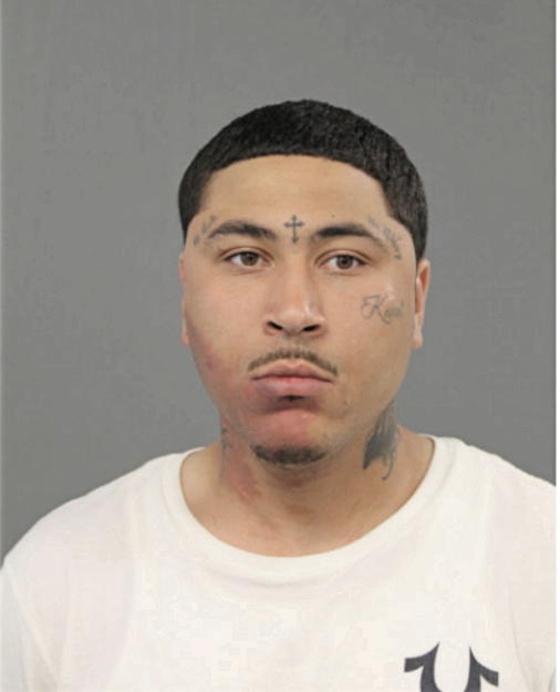 NICHOLAS BROWN, Cook County, Illinois