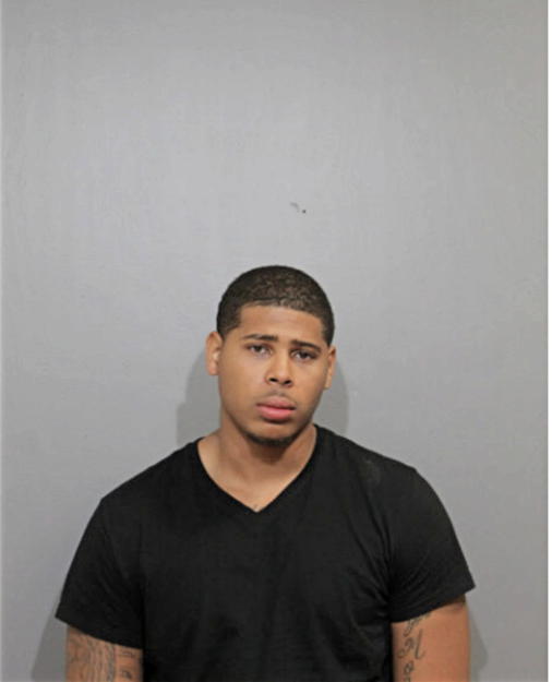 MIKAL R DAVIS, Cook County, Illinois