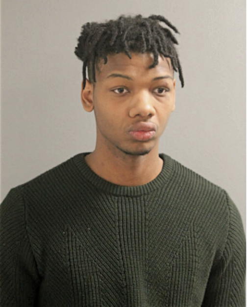 LOUIS S DOBY, Cook County, Illinois