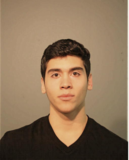 CHRISTIAN D FONTANEZ, Cook County, Illinois