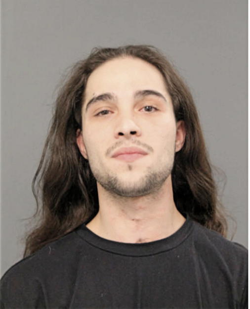 LUIS M GALVAN, Cook County, Illinois