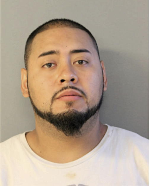 DIEGO L GOMEZ, Cook County, Illinois