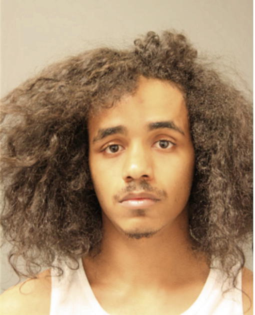 RASHAWN D HAYNES, Cook County, Illinois