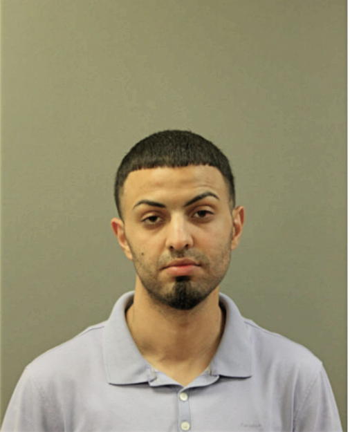 SAFWAT HELEIKE, Cook County, Illinois