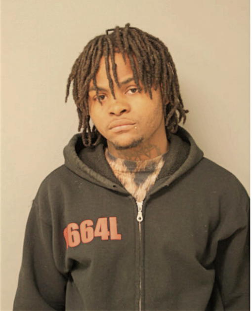 ANDRE D HENDERSON, Cook County, Illinois