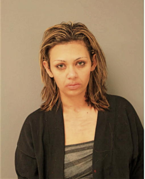 NICOLE S JOHNS, Cook County, Illinois