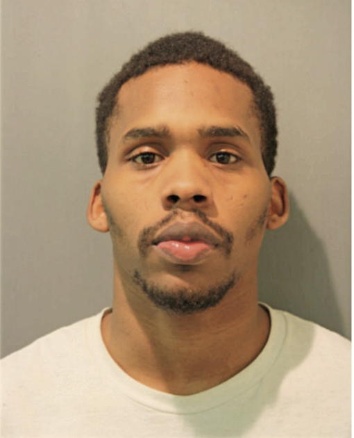 AARON L JOHNSON, Cook County, Illinois