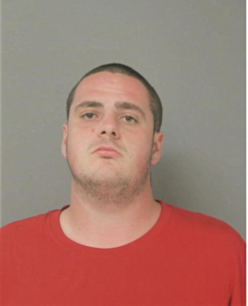 DYLAN R LARKIN, Cook County, Illinois