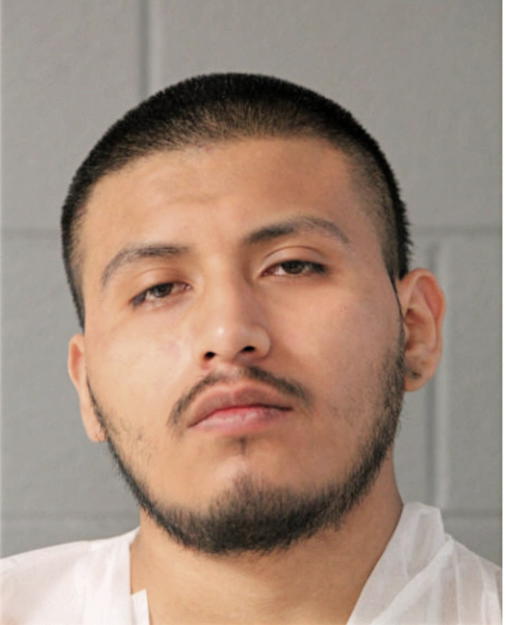 LUIS A LEONARDO, Cook County, Illinois