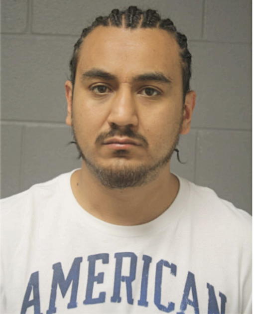 LUIS A LOPEZ, Cook County, Illinois