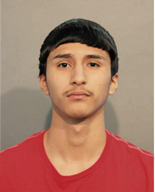 LUIS MARTINEZ, Cook County, Illinois