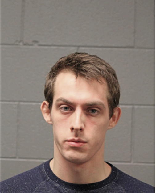 AARON R MIKOTTIS, Cook County, Illinois