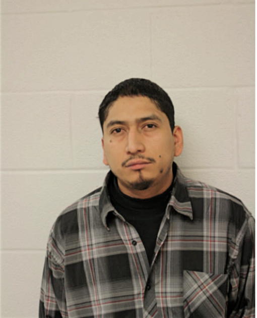 MOISES F MORALES, Cook County, Illinois