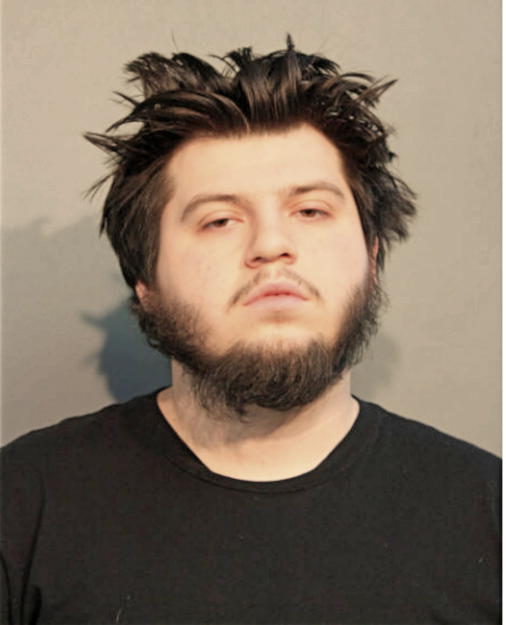 ANDREW D MURPHY, Cook County, Illinois