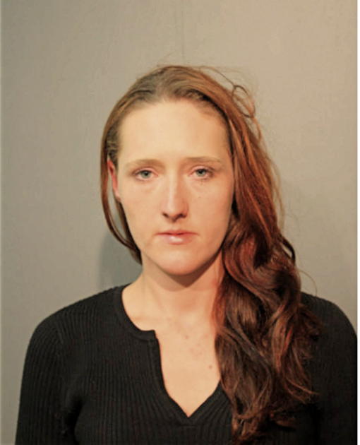 JAMIE L OLSON, Cook County, Illinois