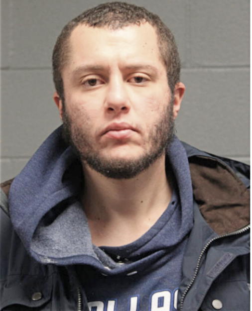 AKRAM K RAGAB, Cook County, Illinois